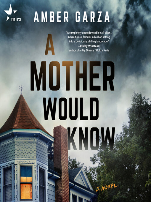 Title details for A Mother Would Know by Amber Garza - Wait list